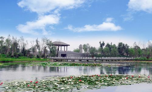 前往北方公园的旅程