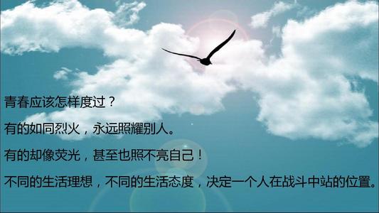 让你自己的形状绽放_600字