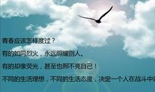 让青春在自己的形状中绽放_600字