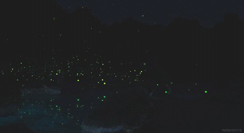 夜间付款_50字