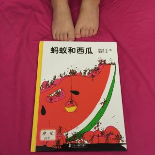 蚂蚁和西瓜