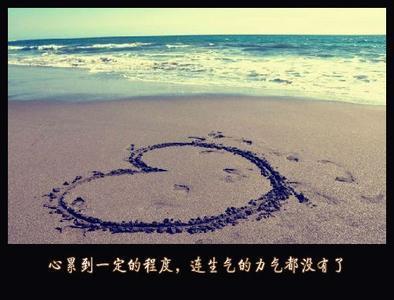 心的方向_900字