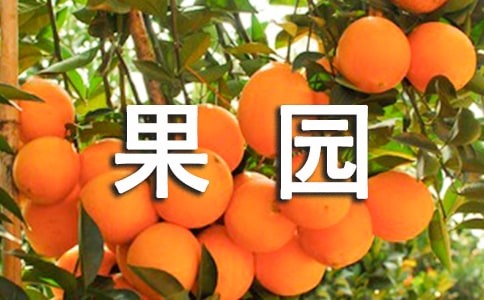 Homeland Orchard _350字