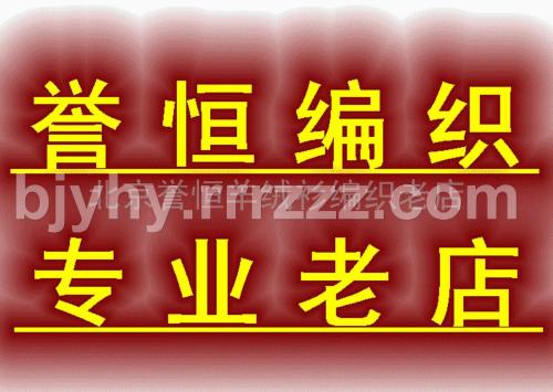 我和学校旅行_500字