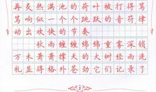 2019小升初满分作文：生活中的启示_400字