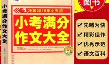 2019小升初满分作文：李老师，我想对您说_500字
