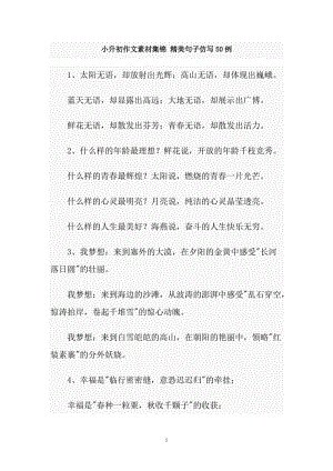 2019年萧寿初级套管：小金鱼_500字