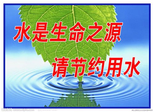 夏季校园_450字