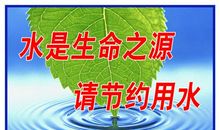 夏天的校园_450字