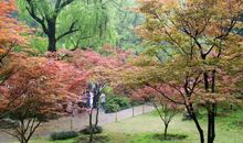 春天的脚步_200字