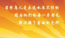 [我的大学梦征文]不经风雨，怎见彩虹_150字