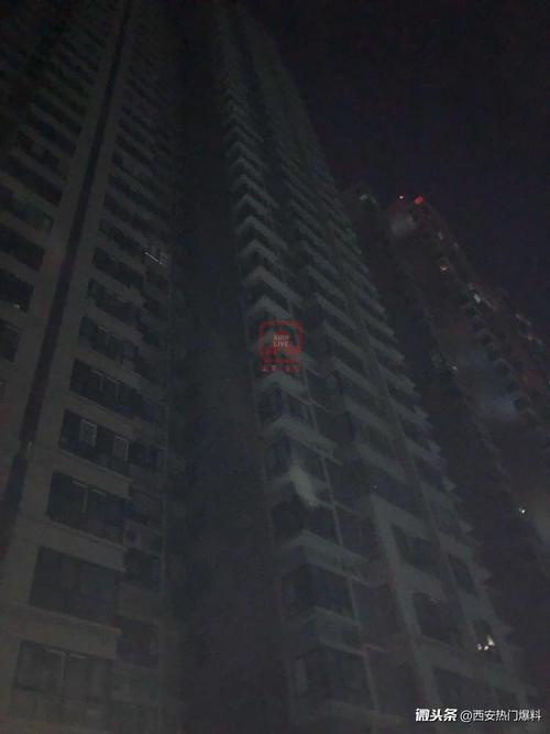 支持_550字