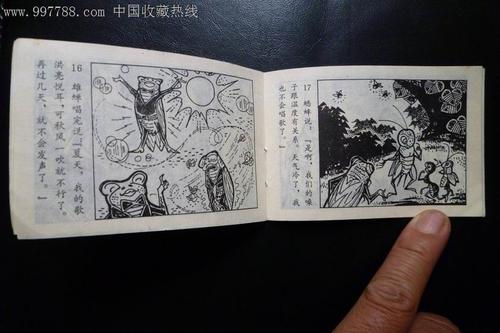 在字段中的音乐会_500字