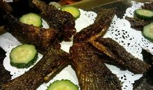 回到过去_1000字