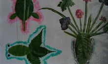 小树叶的呼声_500字