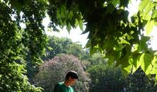 美丽的中山公园_400字