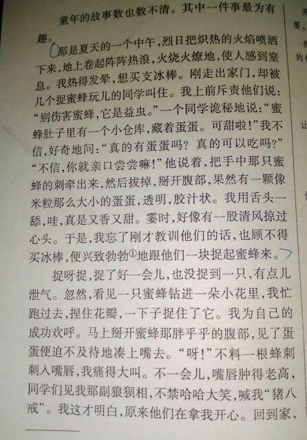 快乐的童年_300字