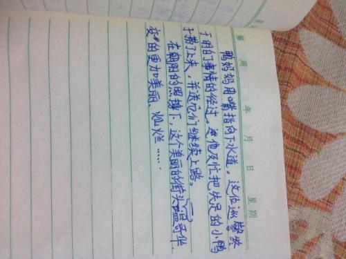 日记三_450字