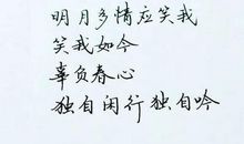 [古诗词]诗——柳_150字