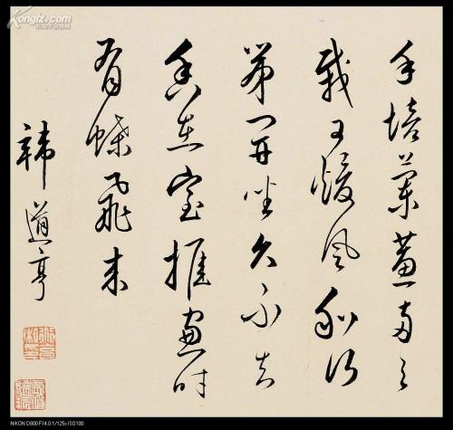 [古代诗歌]疯狂的草_100字