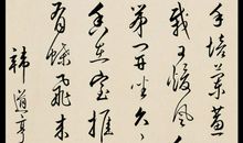 [古诗词]狂草_100字