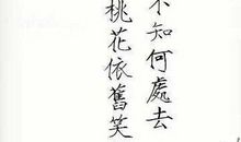 [古诗词]秋虽悲凉而不失美_250字