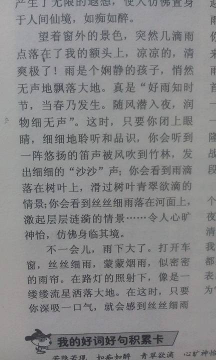 雨视图_650字