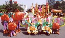 多姿多彩的大巡游_750字