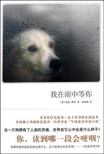 我和爸爸在雨中_350字