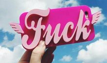 假如我长上翅膀_450字