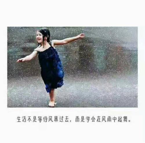 在风雨上_300字