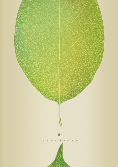一片叶子的旅程（袁毅陈）_700字