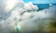 关于台风的作文：欣赏阳台风景_650字