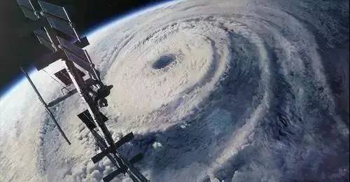 Typhoons上的组成：台风_350字