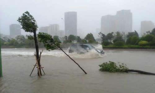Typhoons上的组成：台风_600字