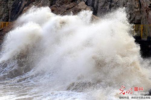 Typhoons上的组成：台风_700字