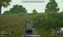 一个贼的奇遇_800字