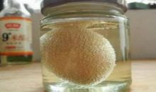 爱吃醋的妈妈_200字