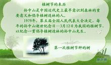 我们一起去植树_750字