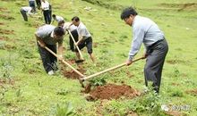 有趣的植树活动_450字