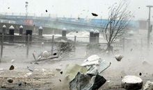 关于台风的作文：一场台风_700字