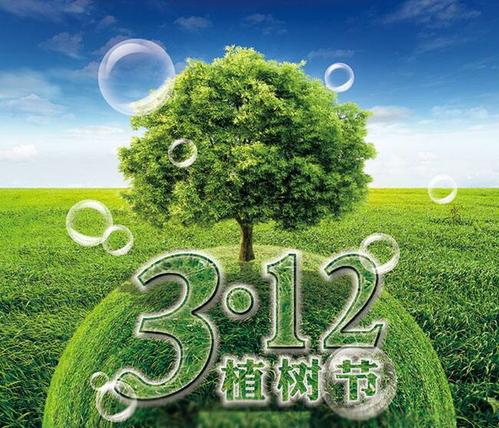 有意义的树种植部分_550字