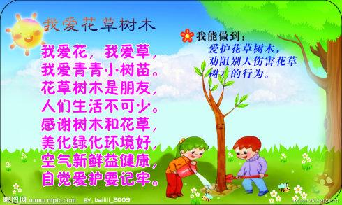 转到树_200字