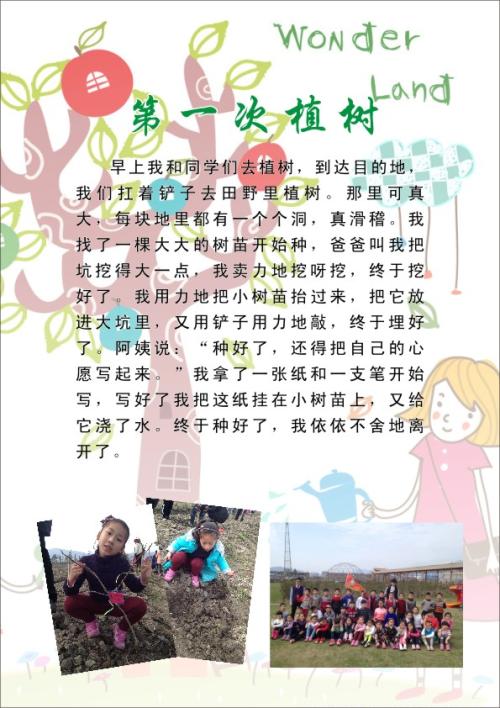 树种植园_300字