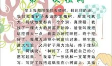 植树_300字