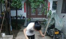 李乐莹个人简介