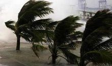 关于台风的作文：如何防御台风_400字