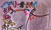 关于台风的作文：台风的自述_450字