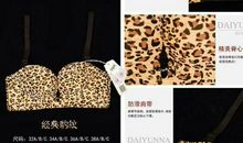 杨娅菲个人简介