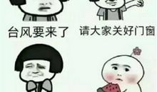 关于台风的作文：台风的形成与危害_600字